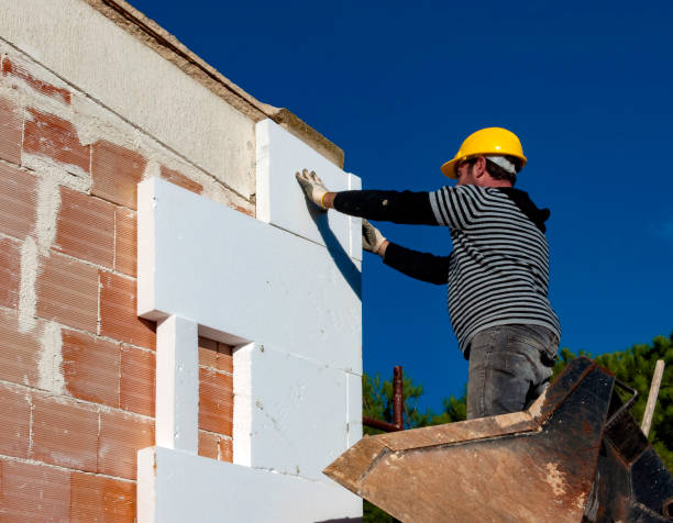 Best Insulation Materials and Products in Buena Vista, GA