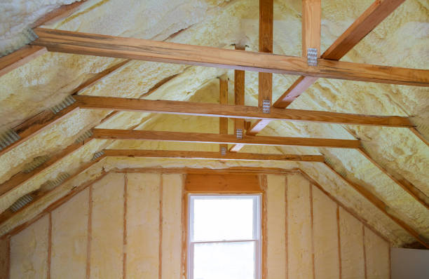  Buena Vista, GA Insulation Contractor Pros