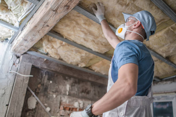 Best Residential Insulation in Buena Vista, GA