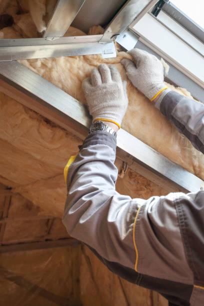 Best Energy Efficiency Solutions in Buena Vista, GA