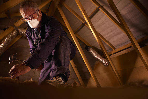 Best Insulation for Specific Applications in Buena Vista, GA