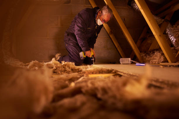 Best Commercial Insulation in Buena Vista, GA